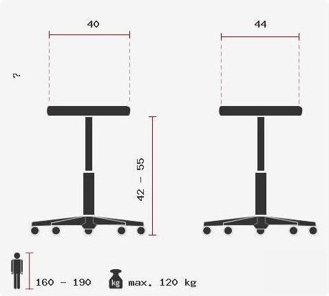 Actual product image Topstar Body Balance 20