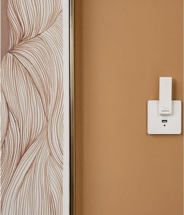 Actual product image Aqara Hub M100
