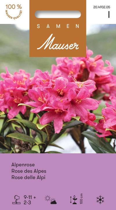 Samen Mauser Alpenrose (Pflanzensamen)