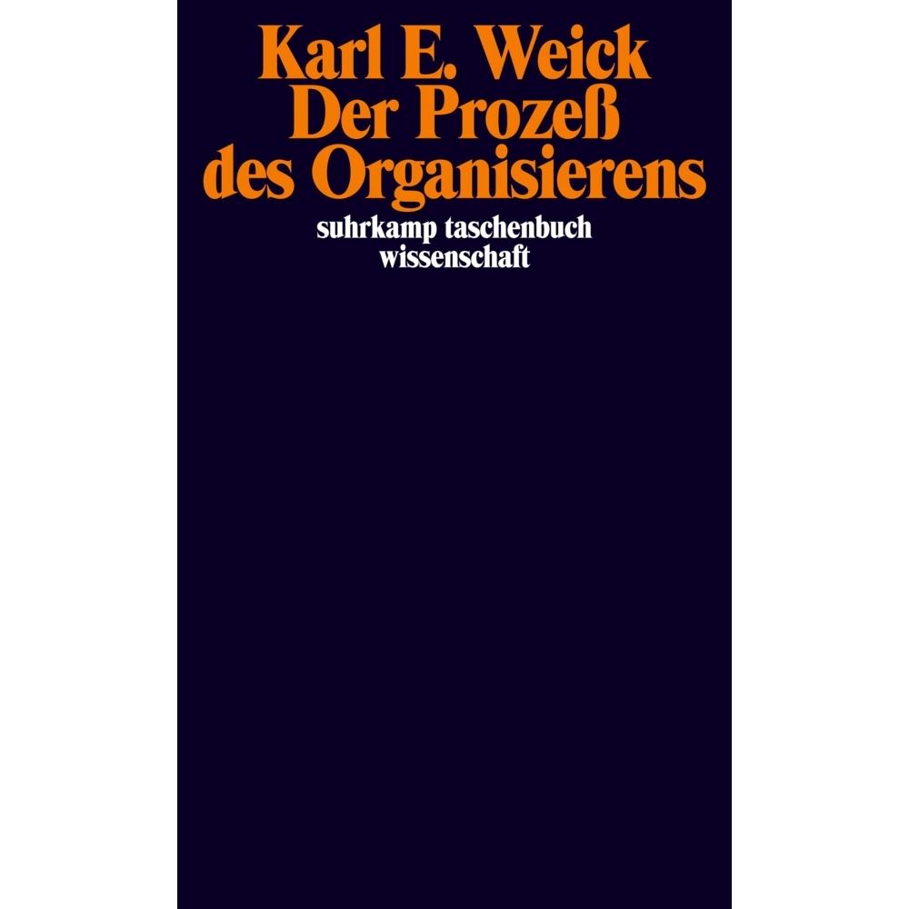 Der Prozess des Organisierens, Fachbücher von Karl E. Weick