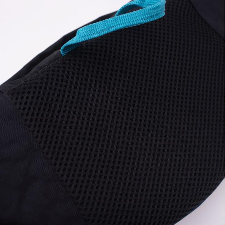 Immagine prodotto Iguana Gomeis' Niere