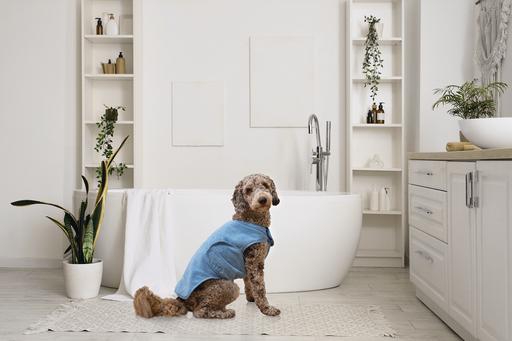 Image du produit Beeztees Hundebademantel Aras (Peignoir pour chien)