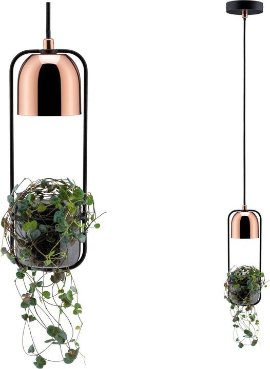 Produktbild Paulmann Fanja (GU10)