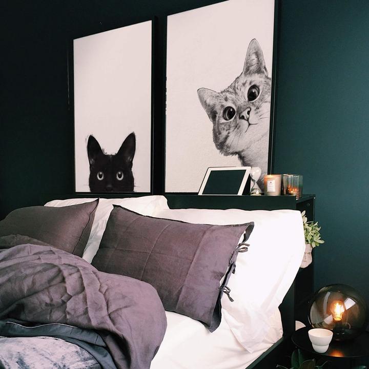 Immagine prodotto Trenddeko Gatto subdolo (24 x 30 cm)
