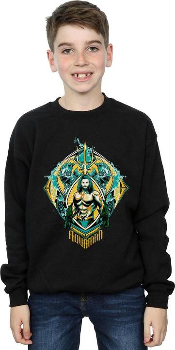 Image du produit Sweatshirt garçon Aquaman The Trench Crest (128)