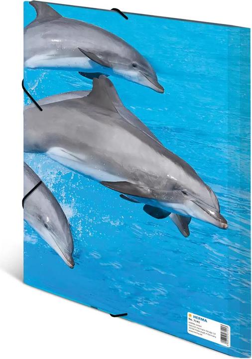 Immagine prodotto HERMA Cartella (A4, 1 x)