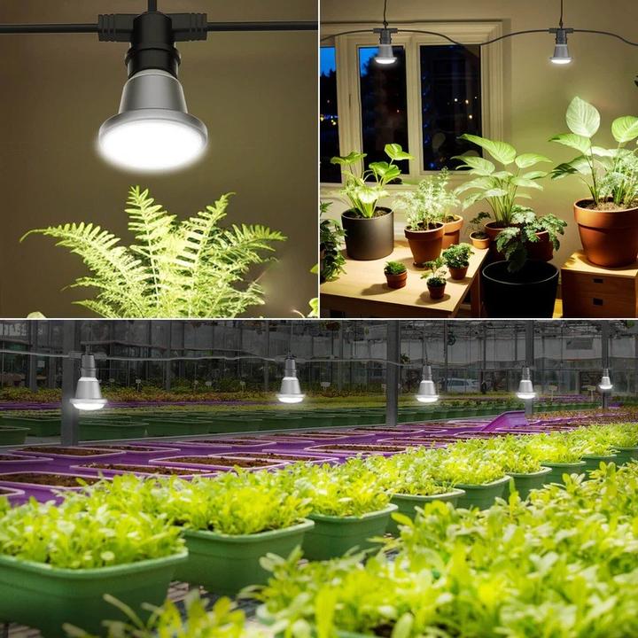 Produktbild Sansi Hanging Grow Light String 72 Watt (LED, 230 V)