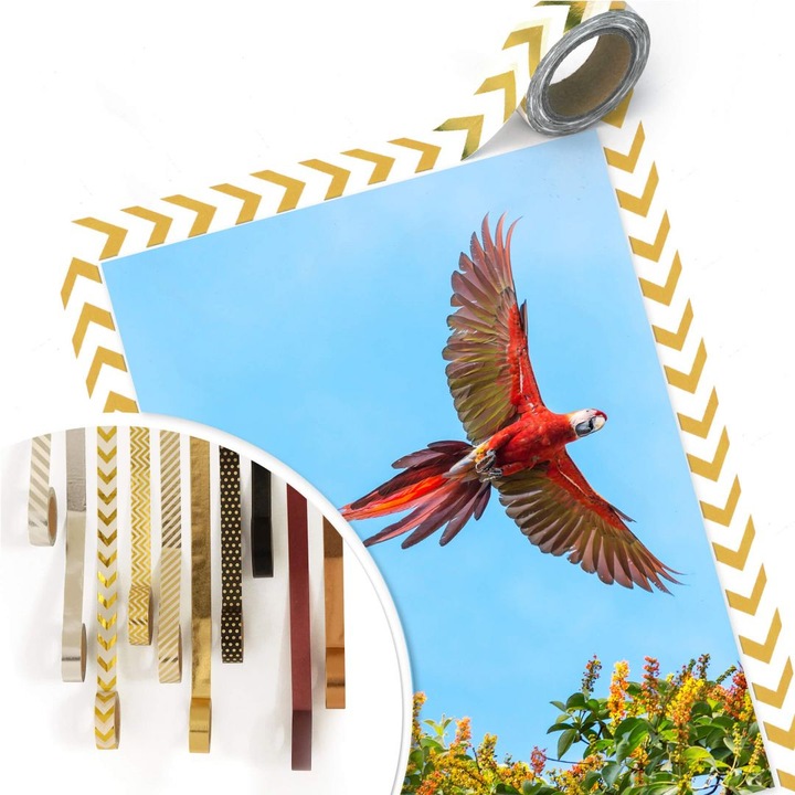 Image du produit Trenddeko Colombo - Perroquet en vol (50 x 60 cm)