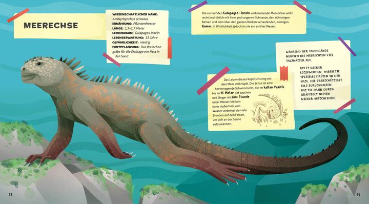 Produktbild National Geographic Besonders und wunderbar: Reptilien (Deutsch, Cristina Banfi, 2021)