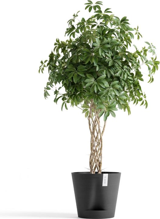 Produktbild Ecopots Venice 2 (40.20 x 35.70 cm)