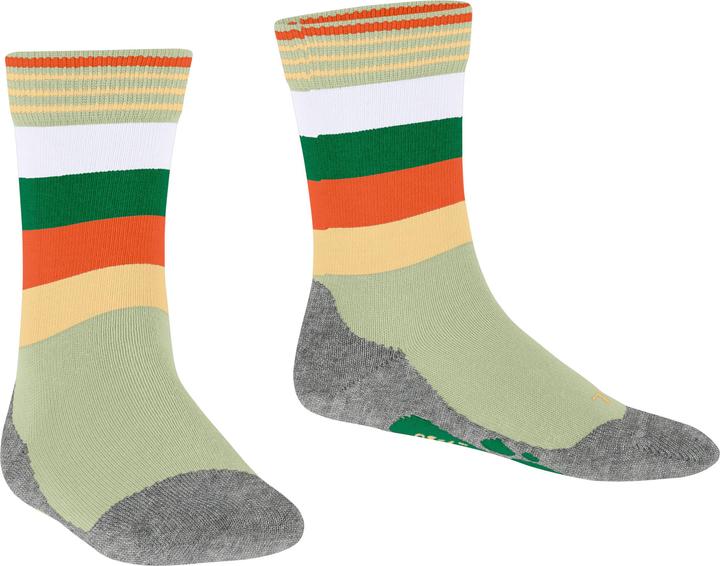 Actual product image Falke Active Fox Baumwollsocken (Single pack, 35 - 38)