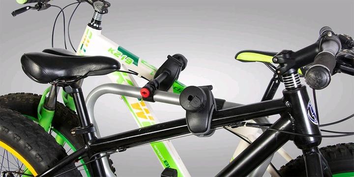 Actual product image BuzzRack E-Scorpion XL