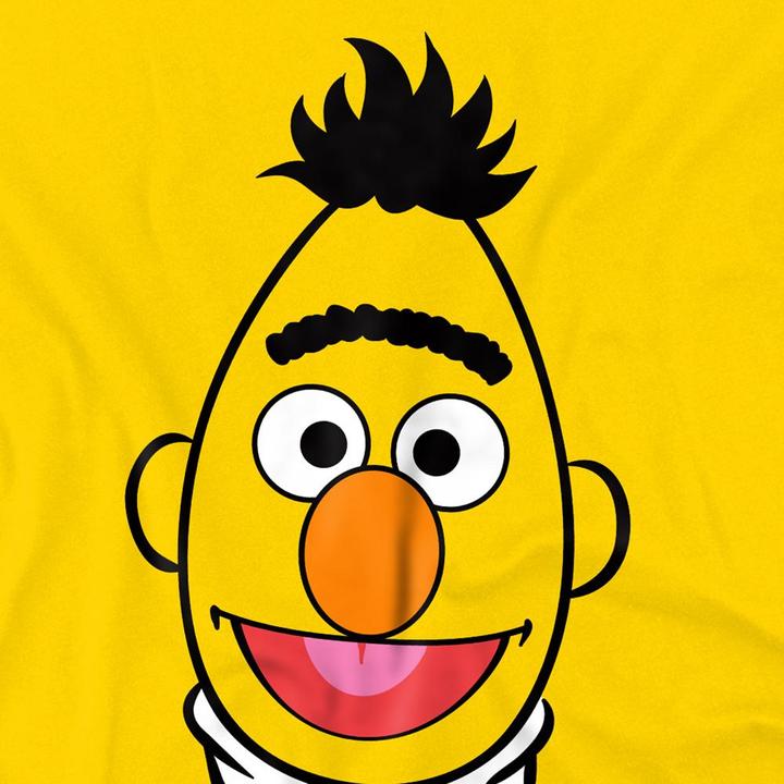 Immagine prodotto TShirt (XL)