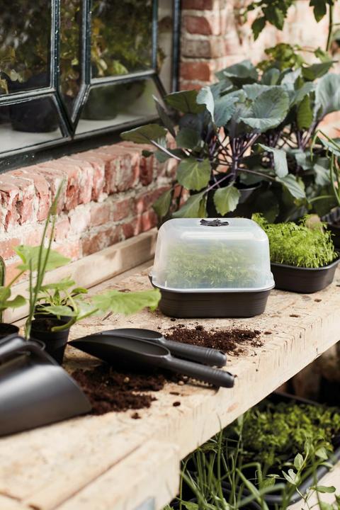 Produktbild Elho Green Basics