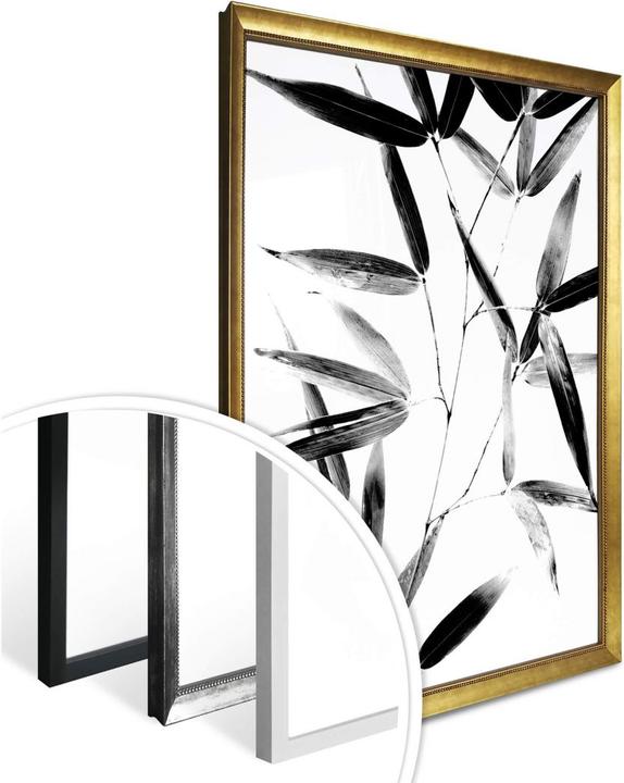 Produktbild Trenddeko Natur Silhouette (60 x 80 cm)