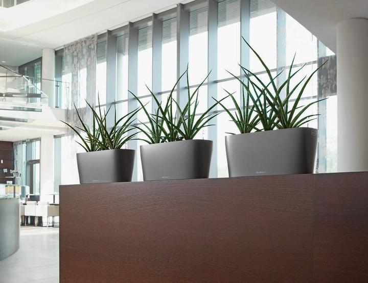 Produktbild Lechuza Delta (40 x 15 x 18 cm)