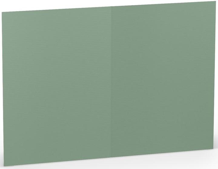 Image du produit Rössler Carte-lettre Paperado Eucalyptus (5 pcs)