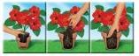 Actual product image Compo Sana® Potting Soil 20 litres (20 l)