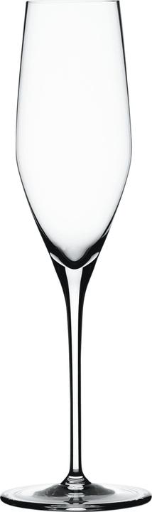 Actual product image Spiegelau Champagne Glass AUTHENTIS (19 cl, 4 Glasses, Champagne glasses)