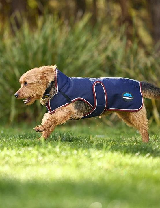 Actual product image Weatherbeeta Comfitec Premier Deluxe (75, Dog raincoat)