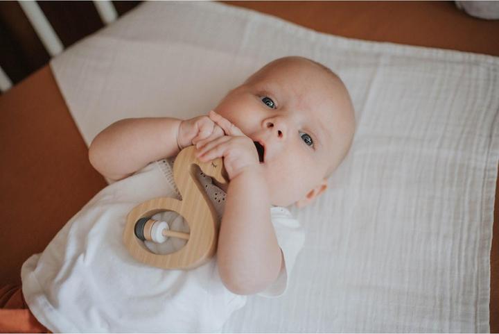Produktbild Tryco Baby Rassel Schwan