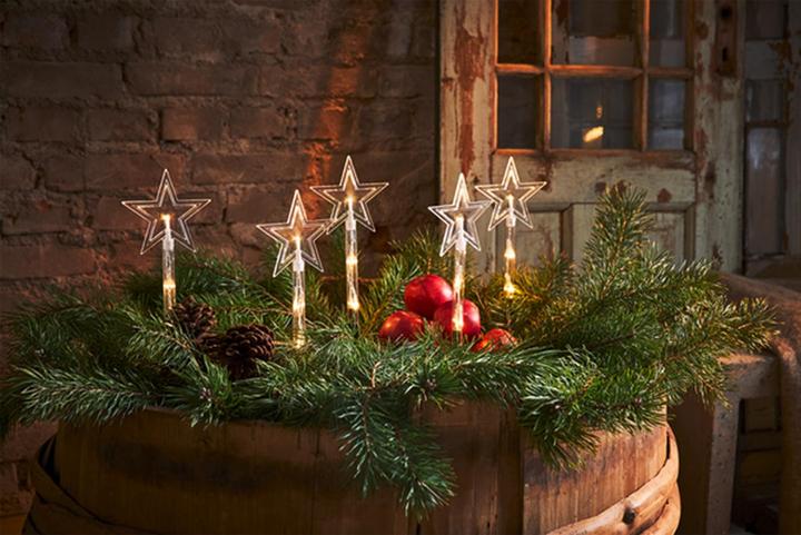 Produktbild Star Trading Wandy