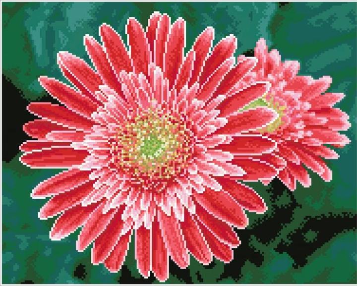 Immagine prodotto Dante Ricamo Diamante Diamante Dotz Diamante Mosaico Gerbera Rosa 58x48cm DQ10001