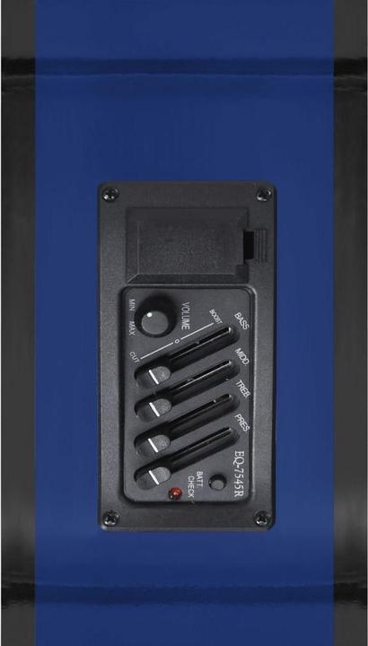 Image du produit vidaXL Montague (Guitare occidentale, Bois de tilleul, Plastique dur)