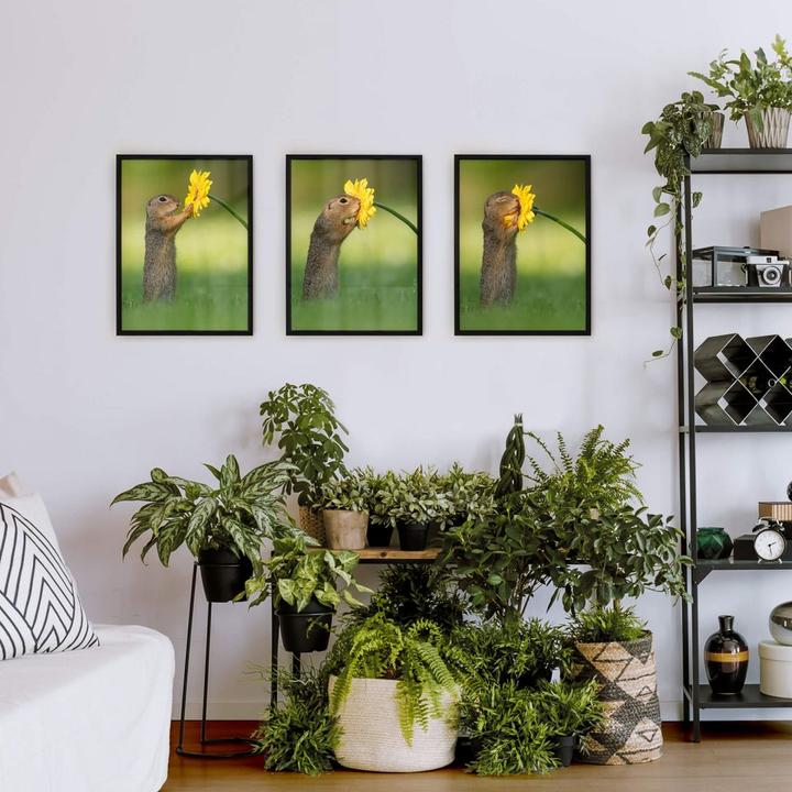 Image du produit Trenddeko van Duijn - Écureuil terrestre tenant une fleur (portrait) (40 x 50 cm)