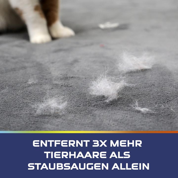 Actual product image Vanish Pet expert carpet care foam