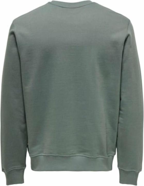 Actual product image Only & Sons Onsdan Unbrushed Reg Crew Neck Sweat Vd (M)