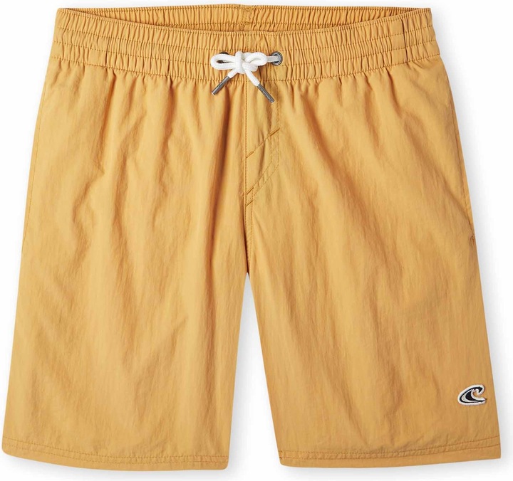 Actual product image O'Neill Vert Swim Shorts (176)
