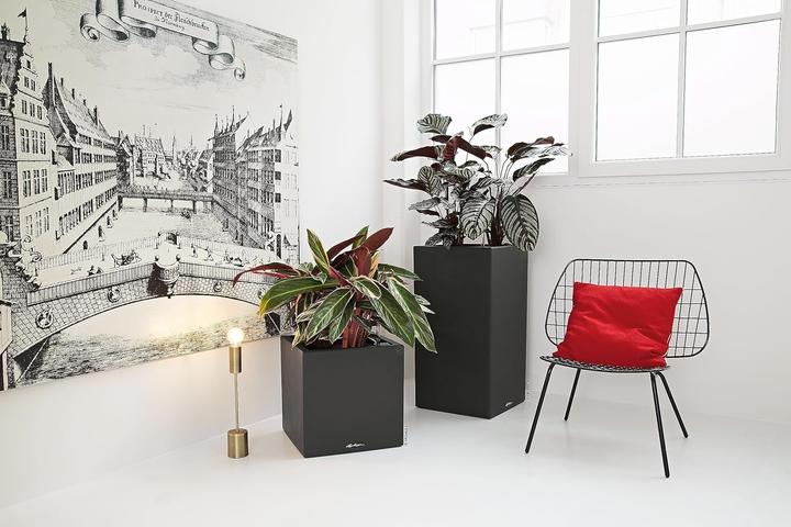 Produktbild Lechuza Canto Stone (40 cm)