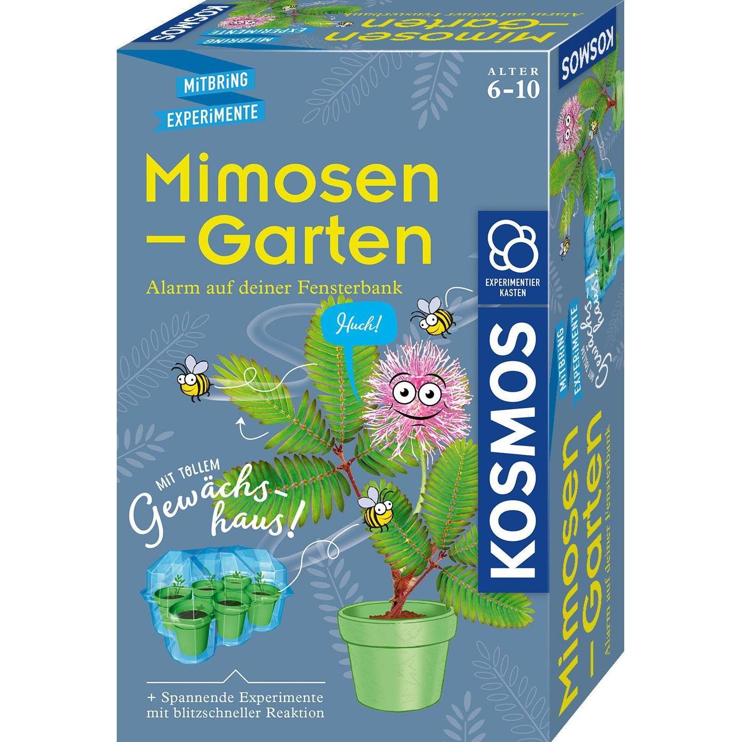 Kosmos Mimosen-Garten (657802)
