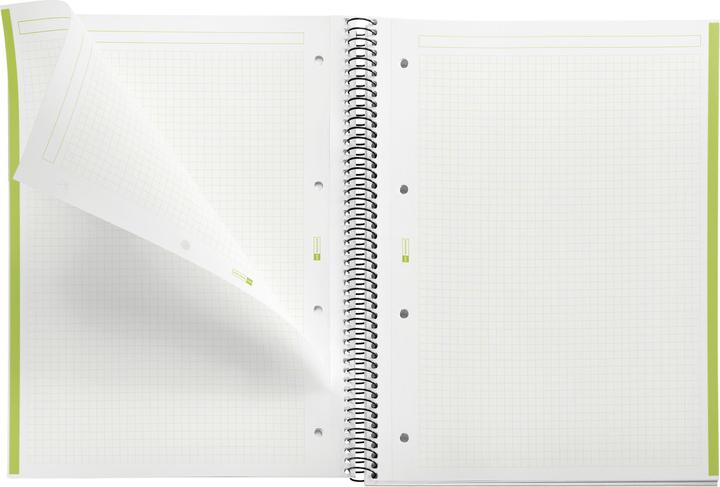 Actual product image Miquelrius The Original Notebook (A4, Checked)
