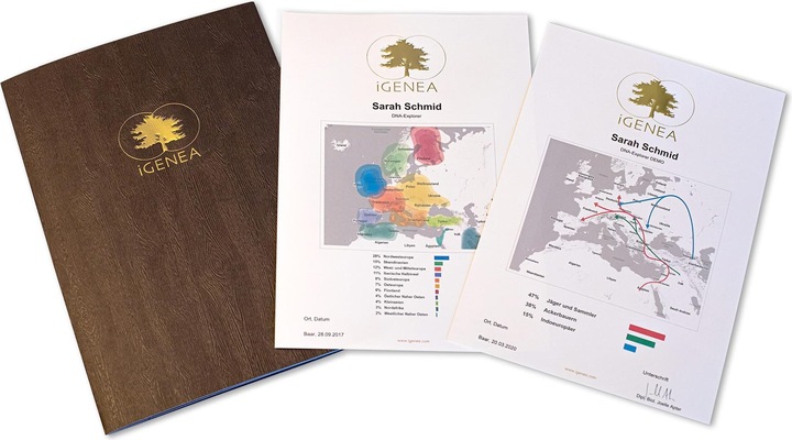 Image du produit iGenea Analyse d'origine par ADN Premium
