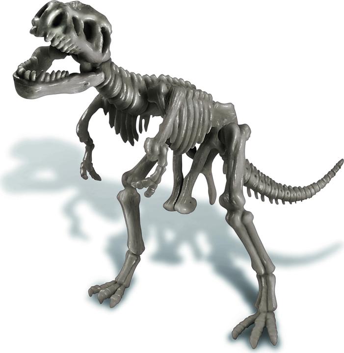 Image du produit 4M Fouille de dinosaures Tyrannosaurus Rex