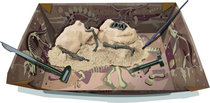 Image du produit 4M Fouille de dinosaures Tyrannosaurus Rex
