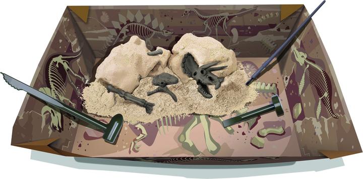 Actual product image 4M Dinosaur excavation - Triceratops