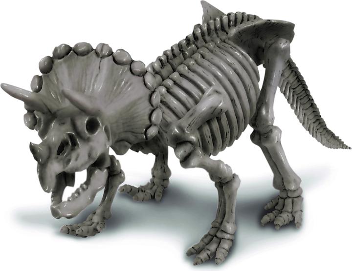 Actual product image 4M Dinosaur excavation - Triceratops