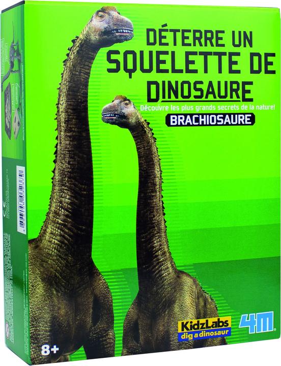 Produktbild 4M Dinosaurier Ausgrabung Brachiosaurus