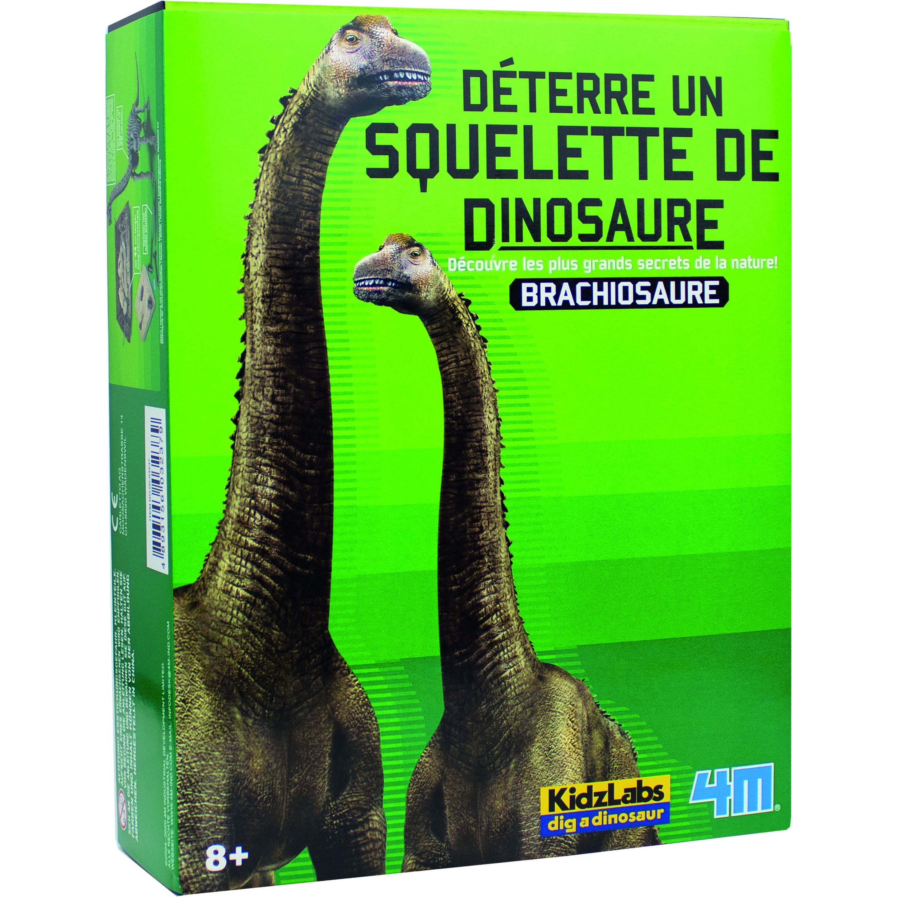 4M Dinosaurier Ausgrabung Brachiosaurus