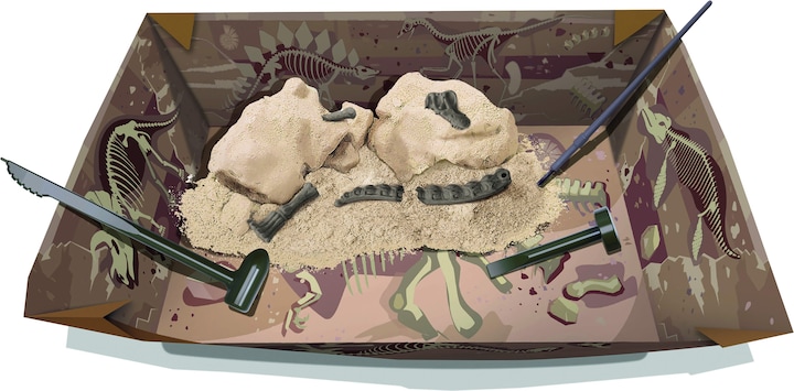 Actual product image 4M Dinosaur Excavation Brachiosaurus