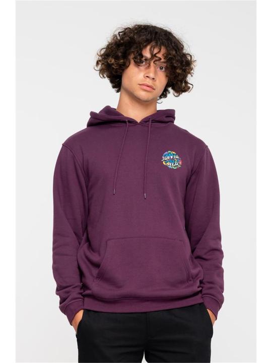 Actual product image Santa Cruz Strange Dot Hoodie (L)