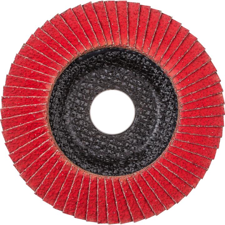 Actual product image Pferd Flap disc (50)
