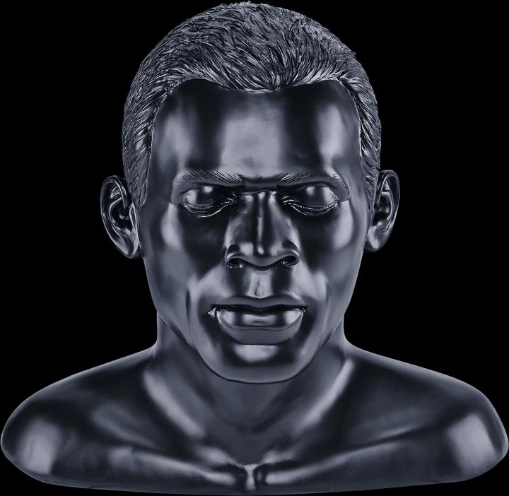 Actual product image Oehlbach In Silence