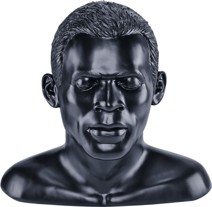 Actual product image Oehlbach In Silence