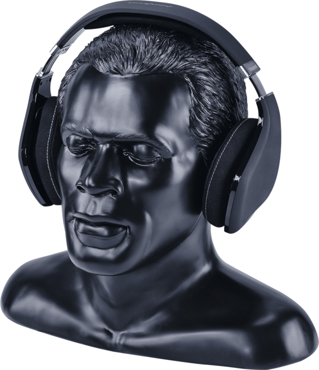 Actual product image Oehlbach In Silence