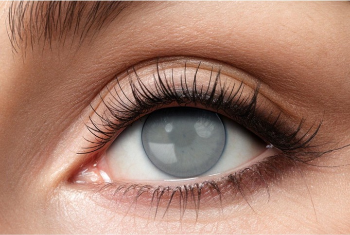 Produktbild Metamorph Blinder Seher Kontaktlinsen grau