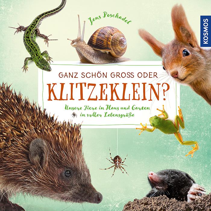 Ganz schön gross oder klitzeklein?, Kinderbücher von Jens Poschadel